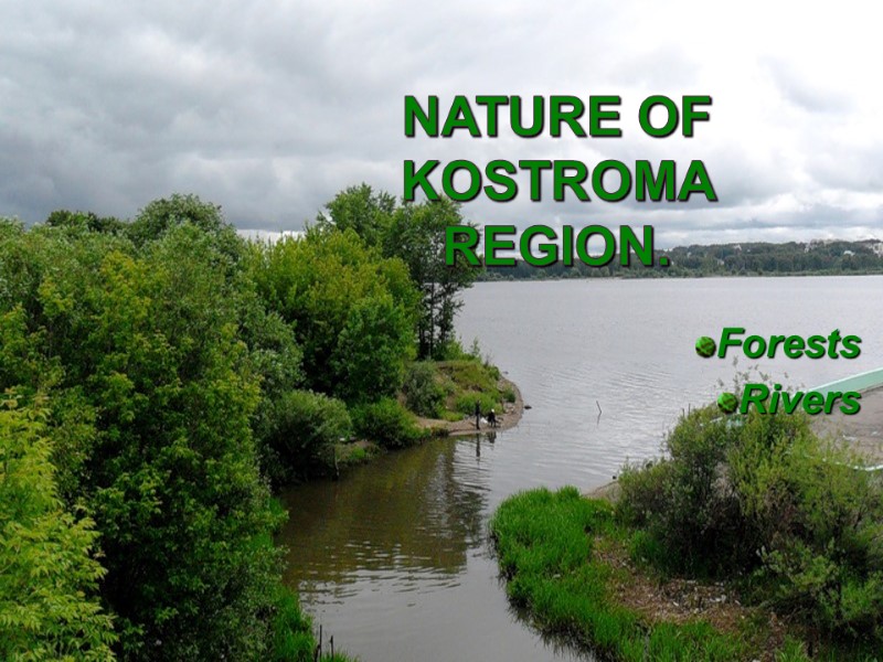 Nature of Kostroma Region. Forests Rivers